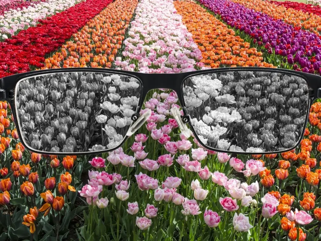 color blindness