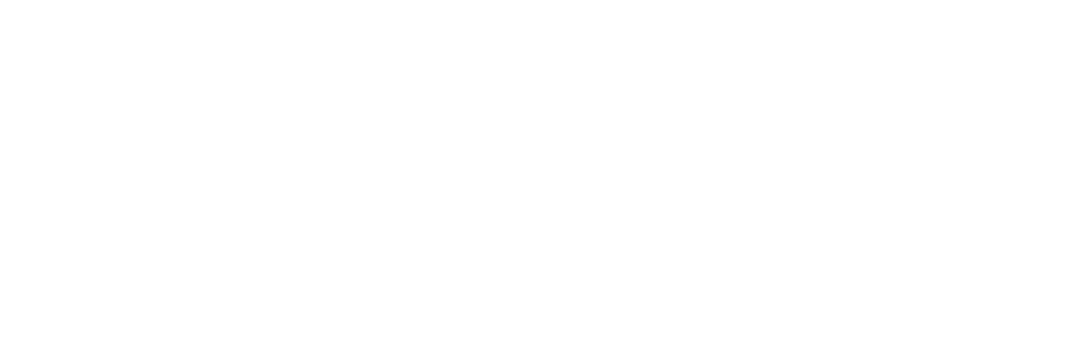 welldemir-logo-white